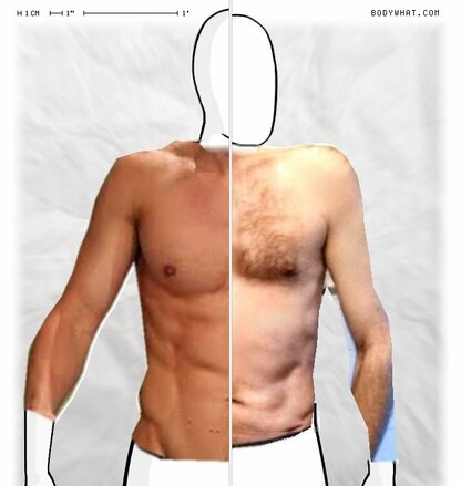 Torso Comparison