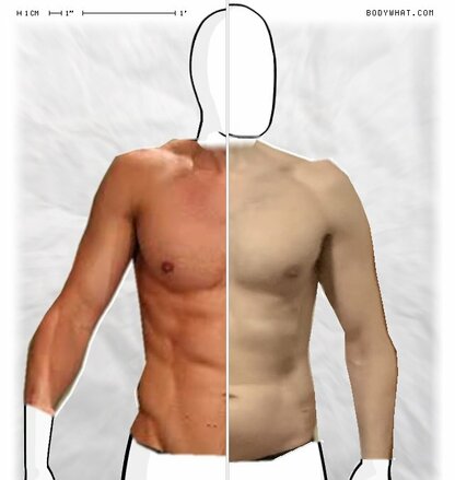 Torso Comparison