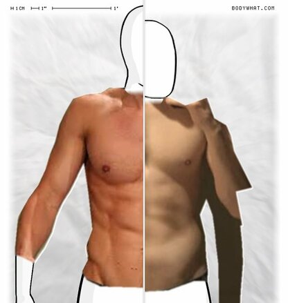 Torso Comparison