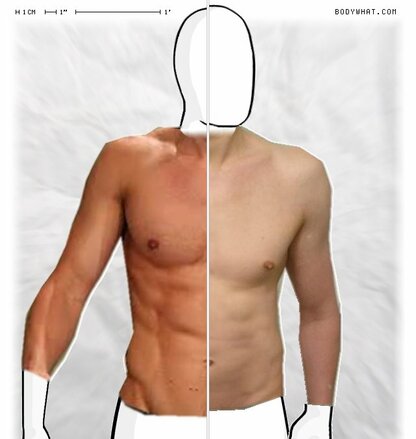 Torso Comparison