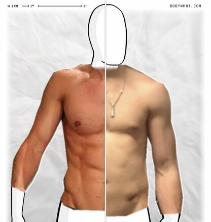 Torso Comparison