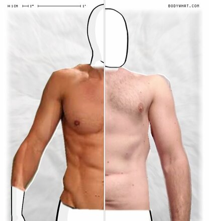 Torso Comparison