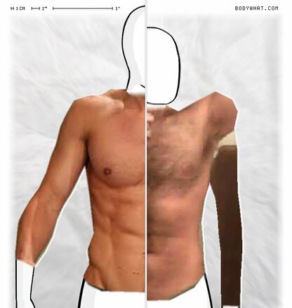 Torso Comparison