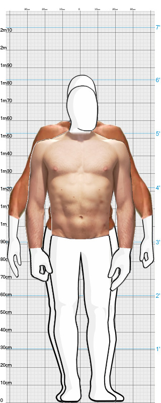 Full Size Comparison