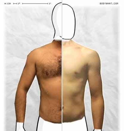 Torso Comparison