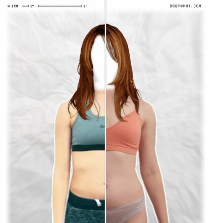 Torso Comparison