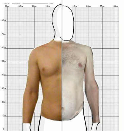 Torso Comparison