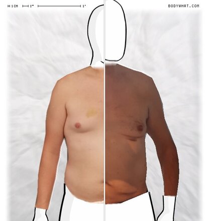Torso Comparison