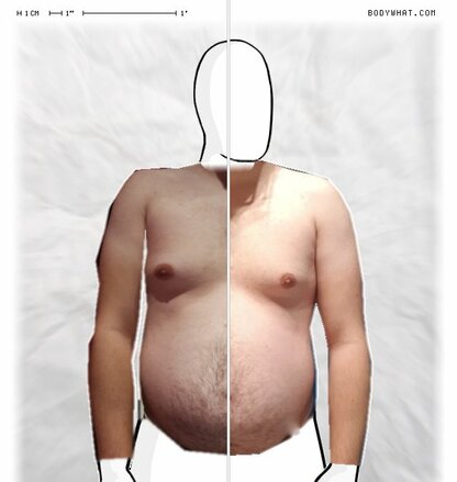 Torso Comparison
