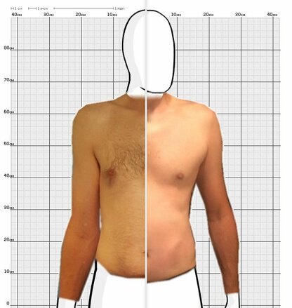 Torso Comparison