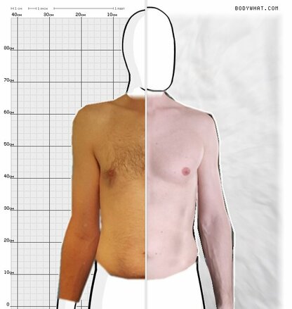 Torso Comparison