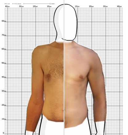 Torso Comparison