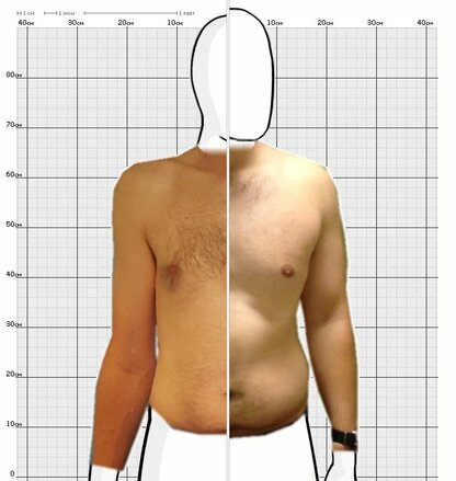 Torso Comparison
