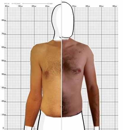 Torso Comparison