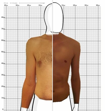 Torso Comparison