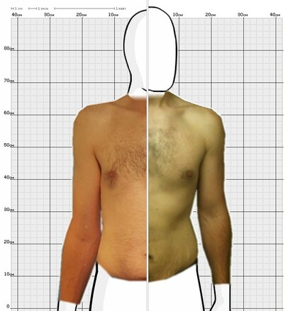 Torso Comparison