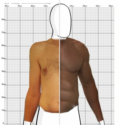Torso Comparison