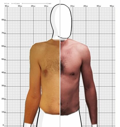 Torso Comparison