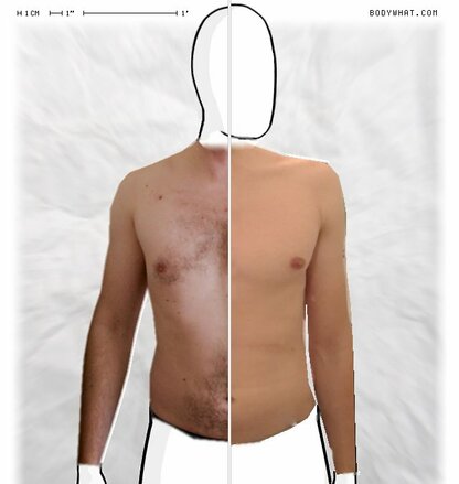 Torso Comparison