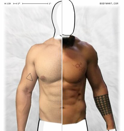 Torso Comparison