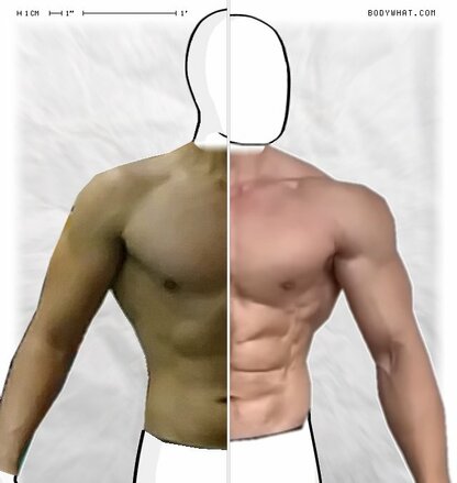 Torso Comparison