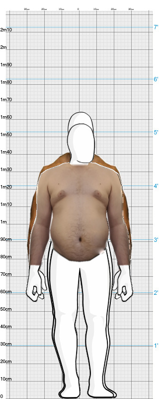 Full Size Comparison