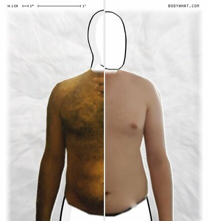 Torso Comparison