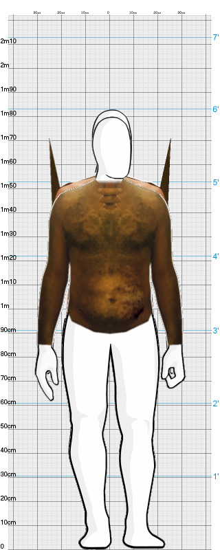 Full Size Comparison