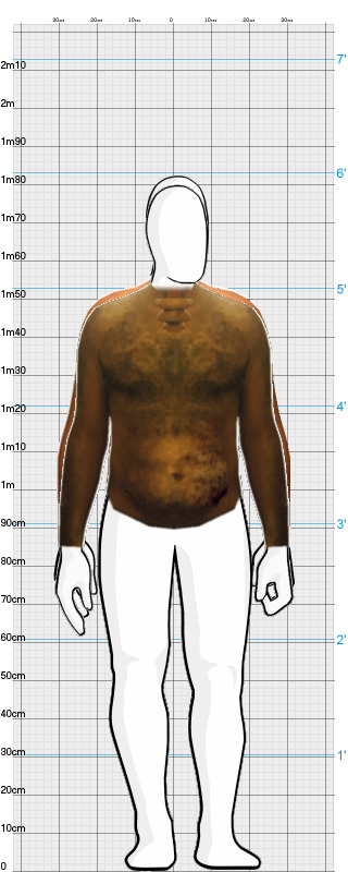 Full Size Comparison