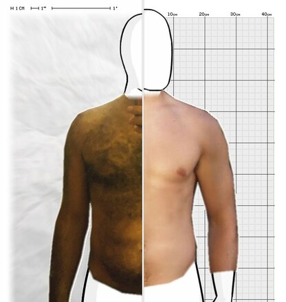 Torso Comparison