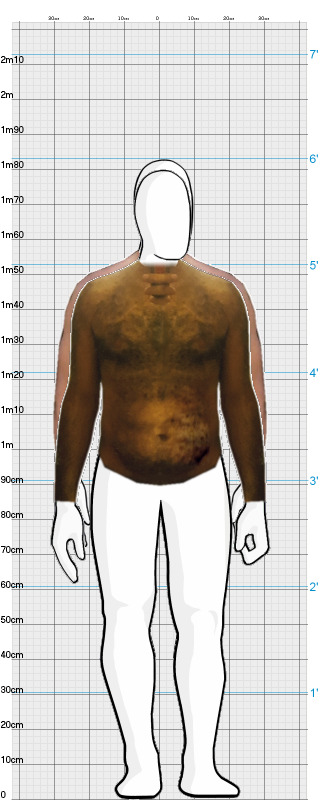 Full Size Comparison