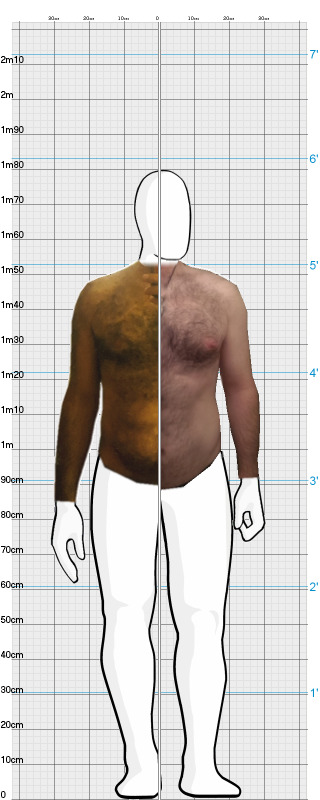 Full Size Comparison