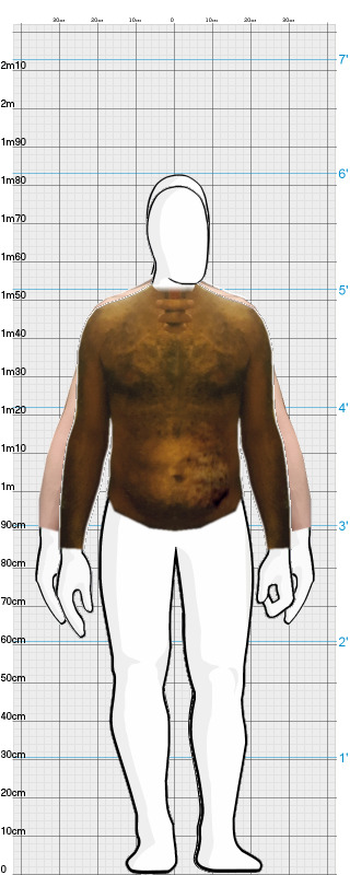 Full Size Comparison