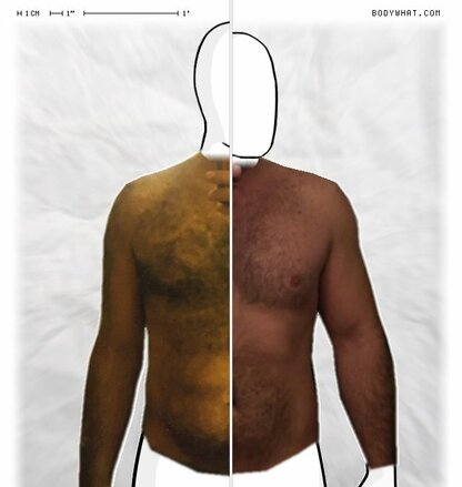 Torso Comparison