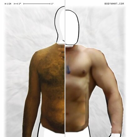 Torso Comparison