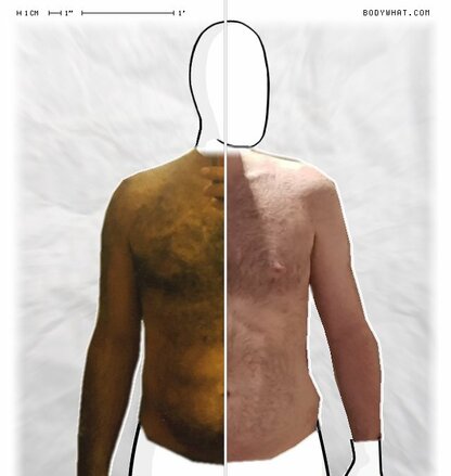 Torso Comparison