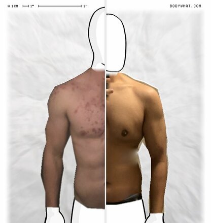 Torso Comparison