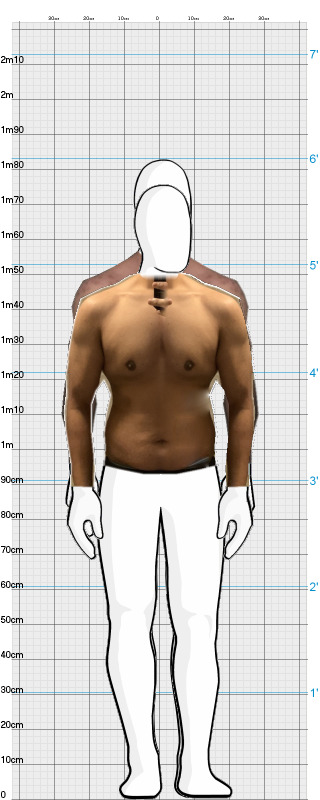 Full Size Comparison