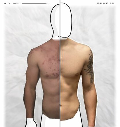 Torso Comparison