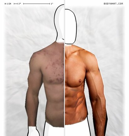 Torso Comparison