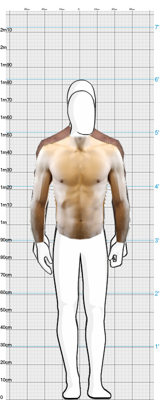 Full Size Comparison