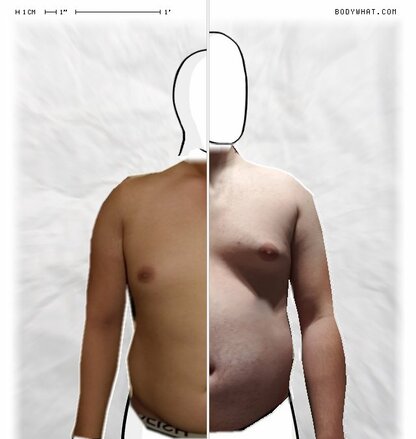 Torso Comparison