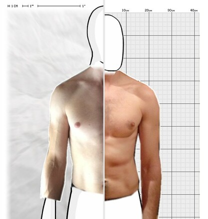 Torso Comparison