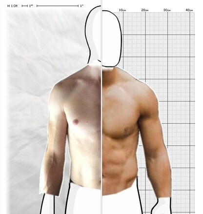 Torso Comparison