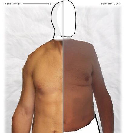 Torso Comparison