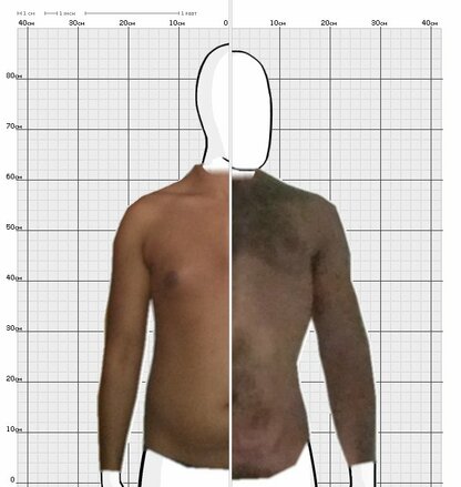 Torso Comparison