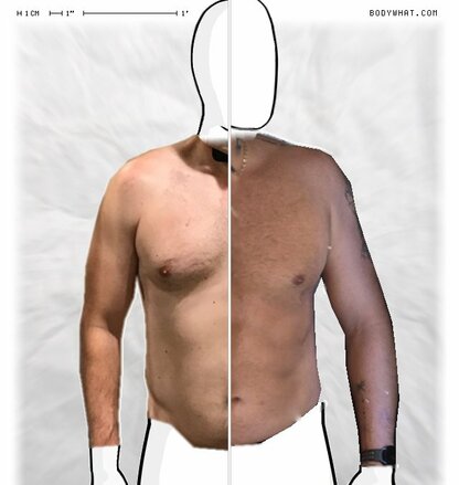 Torso Comparison