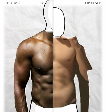 Torso Comparison