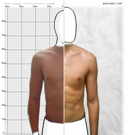 Torso Comparison