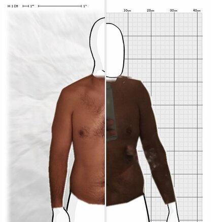 Torso Comparison